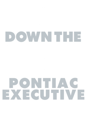 https://d1w8c6s6gmwlek.cloudfront.net/avatshirt.com/overlays/265/569/26556907.png img