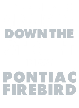 https://d1w8c6s6gmwlek.cloudfront.net/avatshirt.com/overlays/265/569/26556943.png img