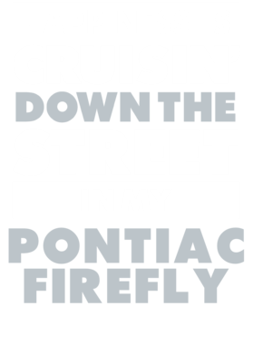 https://d1w8c6s6gmwlek.cloudfront.net/avatshirt.com/overlays/265/569/26556958.png img