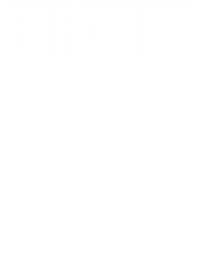 https://d1w8c6s6gmwlek.cloudfront.net/avatshirt.com/overlays/265/570/26557026.png img