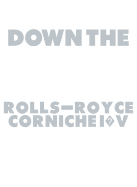 https://d1w8c6s6gmwlek.cloudfront.net/avatshirt.com/overlays/265/584/26558483.png img
