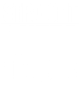 https://d1w8c6s6gmwlek.cloudfront.net/avatshirt.com/overlays/265/589/26558940.png img