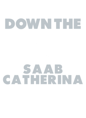 https://d1w8c6s6gmwlek.cloudfront.net/avatshirt.com/overlays/265/592/26559243.png img