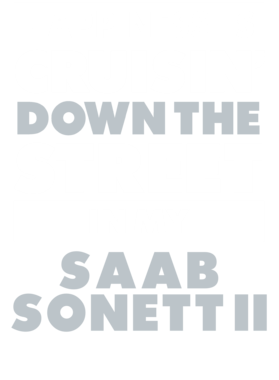 https://d1w8c6s6gmwlek.cloudfront.net/avatshirt.com/overlays/265/596/26559647.png img
