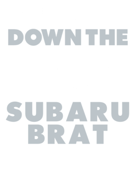 https://d1w8c6s6gmwlek.cloudfront.net/avatshirt.com/overlays/265/598/26559855.png img