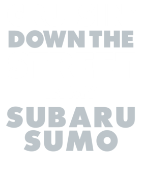 https://d1w8c6s6gmwlek.cloudfront.net/avatshirt.com/overlays/265/599/26559930.png img