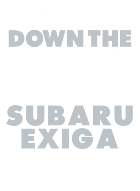 https://d1w8c6s6gmwlek.cloudfront.net/avatshirt.com/overlays/265/599/26559992.png img