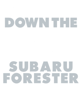 https://d1w8c6s6gmwlek.cloudfront.net/avatshirt.com/overlays/265/600/26560003.png img