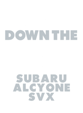 https://d1w8c6s6gmwlek.cloudfront.net/avatshirt.com/overlays/265/604/26560475.png img
