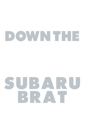 https://d1w8c6s6gmwlek.cloudfront.net/avatshirt.com/overlays/265/604/26560498.png img