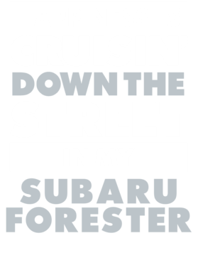 https://d1w8c6s6gmwlek.cloudfront.net/avatshirt.com/overlays/265/606/26560654.png img