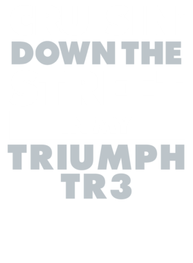 https://d1w8c6s6gmwlek.cloudfront.net/avatshirt.com/overlays/265/607/26560739.png img