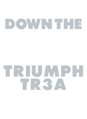 https://d1w8c6s6gmwlek.cloudfront.net/avatshirt.com/overlays/265/607/26560751.png img
