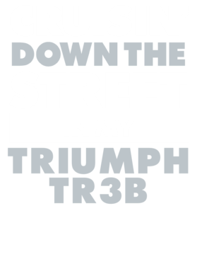 https://d1w8c6s6gmwlek.cloudfront.net/avatshirt.com/overlays/265/607/26560763.png img