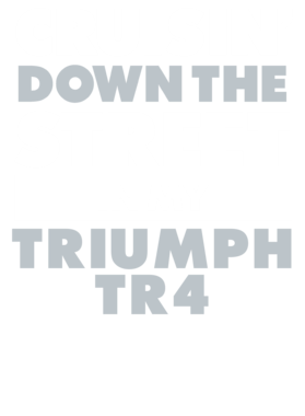 https://d1w8c6s6gmwlek.cloudfront.net/avatshirt.com/overlays/265/607/26560791.png img