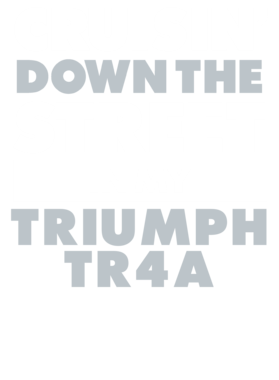https://d1w8c6s6gmwlek.cloudfront.net/avatshirt.com/overlays/265/608/26560806.png img