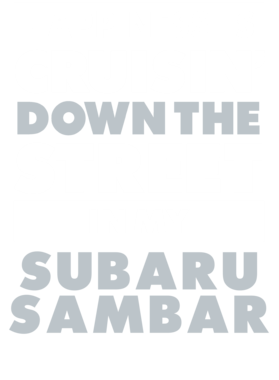 https://d1w8c6s6gmwlek.cloudfront.net/avatshirt.com/overlays/265/608/26560812.png img