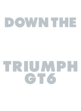 https://d1w8c6s6gmwlek.cloudfront.net/avatshirt.com/overlays/265/608/26560851.png img