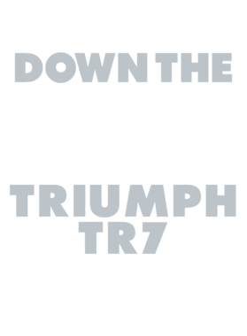 https://d1w8c6s6gmwlek.cloudfront.net/avatshirt.com/overlays/265/608/26560899.png img