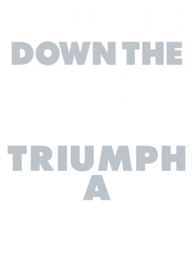 https://d1w8c6s6gmwlek.cloudfront.net/avatshirt.com/overlays/265/612/26561278.png img