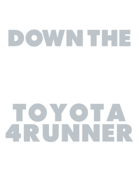 https://d1w8c6s6gmwlek.cloudfront.net/avatshirt.com/overlays/265/613/26561319.png img