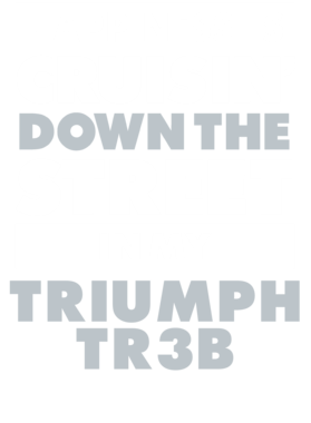 https://d1w8c6s6gmwlek.cloudfront.net/avatshirt.com/overlays/265/614/26561490.png img
