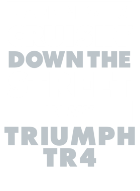 https://d1w8c6s6gmwlek.cloudfront.net/avatshirt.com/overlays/265/615/26561513.png img