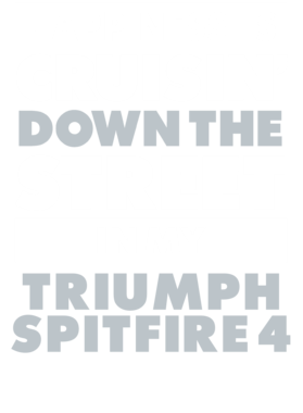 https://d1w8c6s6gmwlek.cloudfront.net/avatshirt.com/overlays/265/616/26561622.png img