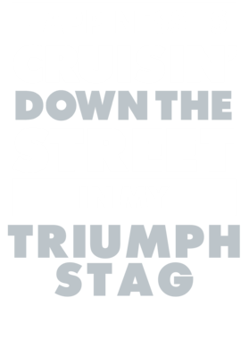 https://d1w8c6s6gmwlek.cloudfront.net/avatshirt.com/overlays/265/618/26561807.png img