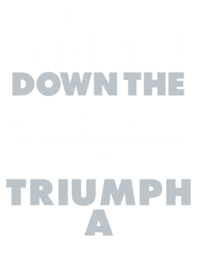 https://d1w8c6s6gmwlek.cloudfront.net/avatshirt.com/overlays/265/619/26561911.png img