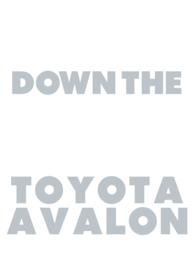 https://d1w8c6s6gmwlek.cloudfront.net/avatshirt.com/overlays/265/620/26562082.png img