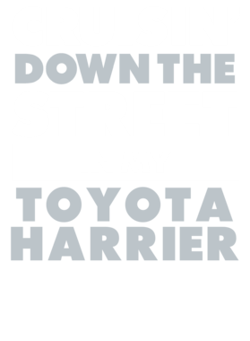 https://d1w8c6s6gmwlek.cloudfront.net/avatshirt.com/overlays/265/621/26562175.png img