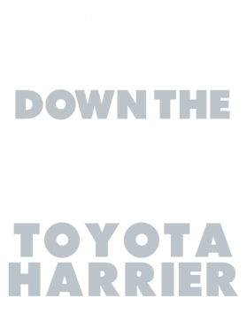 https://d1w8c6s6gmwlek.cloudfront.net/avatshirt.com/overlays/265/627/26562782.png img