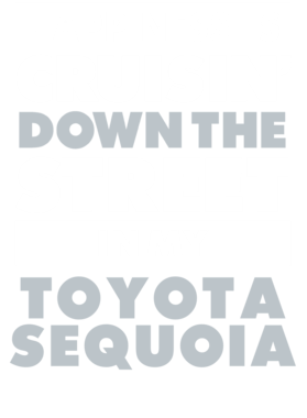 https://d1w8c6s6gmwlek.cloudfront.net/avatshirt.com/overlays/265/635/26563562.png img