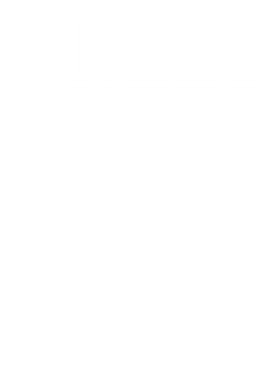 image overlay