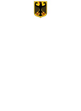 https://d1w8c6s6gmwlek.cloudfront.net/avatshirt.com/overlays/269/579/26957983.png img