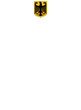 https://d1w8c6s6gmwlek.cloudfront.net/avatshirt.com/overlays/269/582/26958281.png img