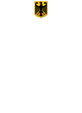 https://d1w8c6s6gmwlek.cloudfront.net/avatshirt.com/overlays/269/588/26958883.png img