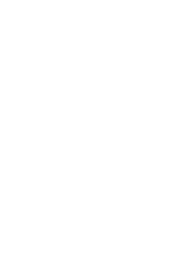 https://d1w8c6s6gmwlek.cloudfront.net/avatshirt.com/overlays/283/154/28315406.png img