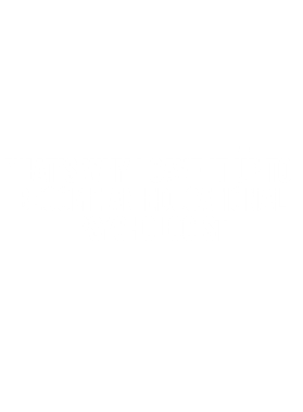 https://d1w8c6s6gmwlek.cloudfront.net/avatshirt.com/overlays/283/168/28316855.png img