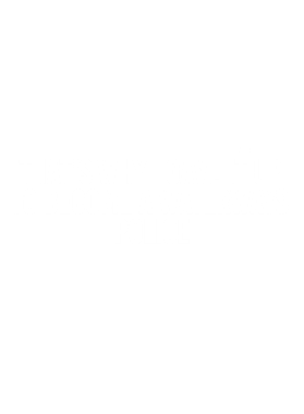 https://d1w8c6s6gmwlek.cloudfront.net/avatshirt.com/overlays/283/253/28325356.png img