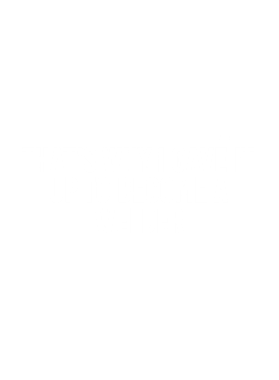 https://d1w8c6s6gmwlek.cloudfront.net/avatshirt.com/overlays/283/254/28325415.png img