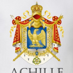 Achille French Last Name Custom Surname France Coat Of Arms T Shirt 16792140