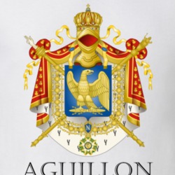 Aguillon French Last Name Custom Surname France Coat Of Arms T Shirt 16792195