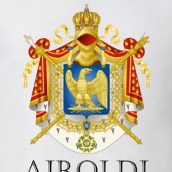 Airoldi French Last Name Custom Surname France Coat Of Arms T Shirt 16792212