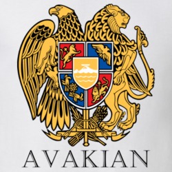 Avakian Armenian Last Name Surname Armenia Coat Of Arms T Shirt 22361109