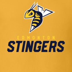 Edmonton Stingers Canadian Elite Basketball League T Shirt 36583561