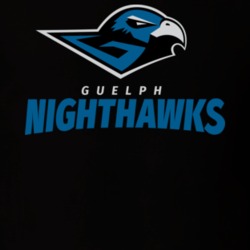 Guelph Nighthawks Canadian Elite Basketball League T Shirt 36583563