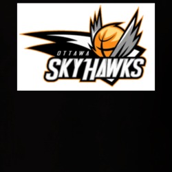 Ottawa Skyhawks Canadian Basketball T Shirt 36583584