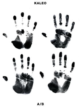 https://d1w8c6s6gmwlek.cloudfront.net/awesomeapparelz.com/overlays/270/811/27081164.png img